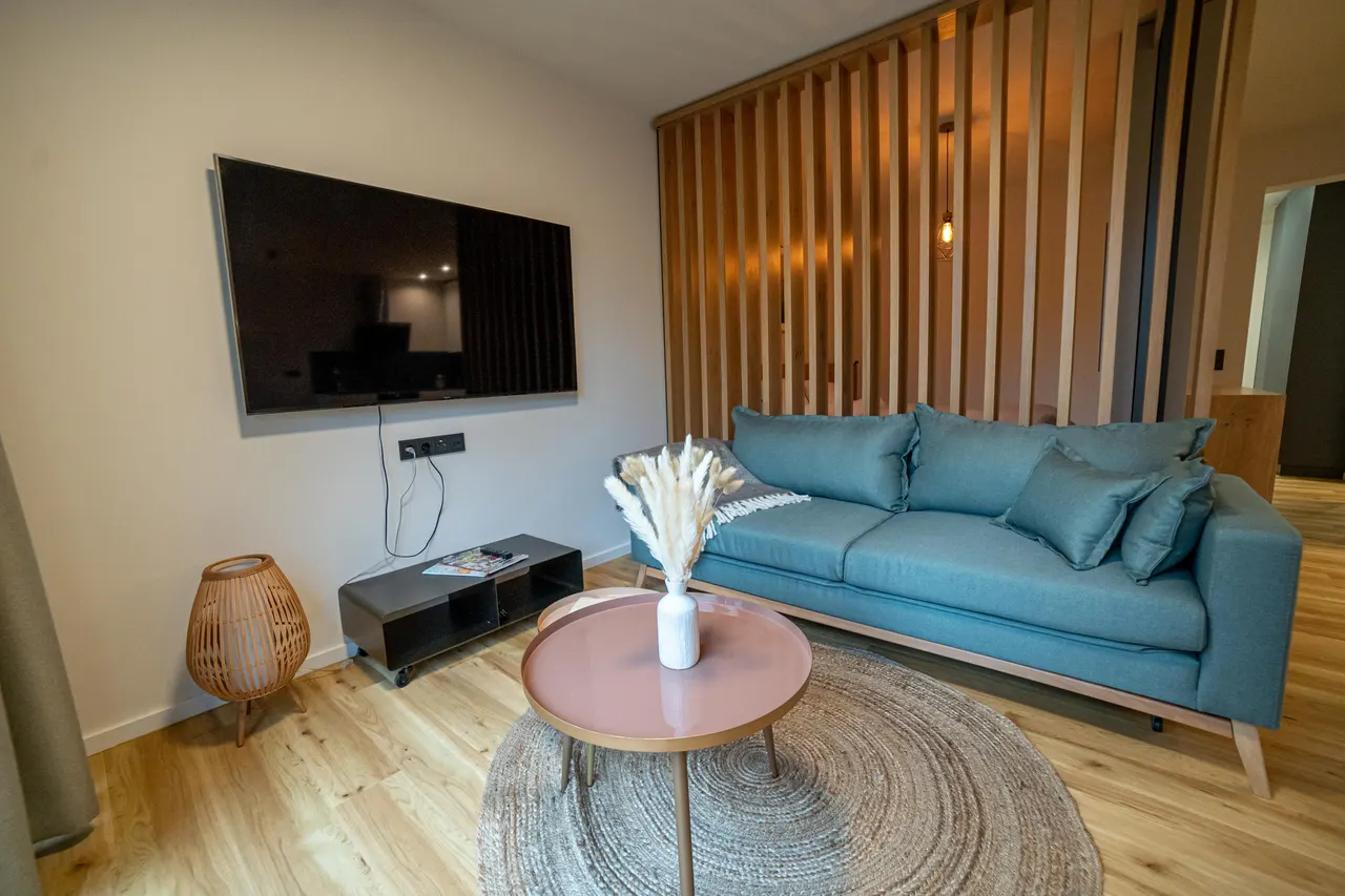 Sofa in Apartment D